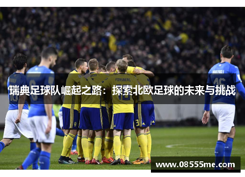 瑞典足球队崛起之路：探索北欧足球的未来与挑战