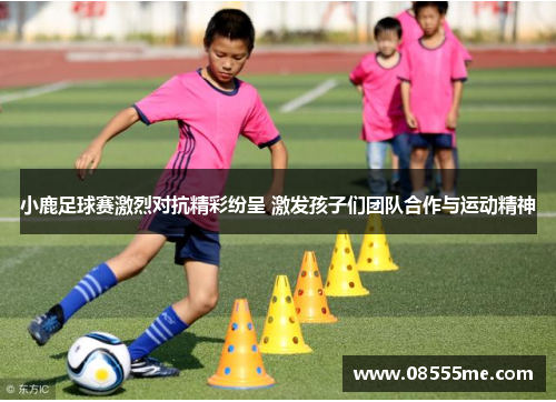 小鹿足球赛激烈对抗精彩纷呈 激发孩子们团队合作与运动精神